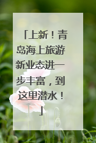 上新！青岛海上旅游新业态进一步丰富，到这里潜水！