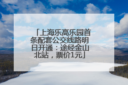 上海乐高乐园首条配套公交线路明日开通：途经金山北站，票价1元