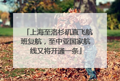 上海至洛杉矶直飞航班复航，至中亚国家航线又将开通一条