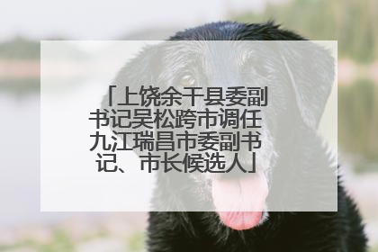 上饶余干县委副书记吴松跨市调任九江瑞昌市委副书记、市长候选人
