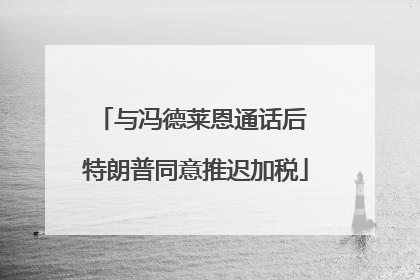 与冯德莱恩通话后 特朗普同意推迟加税