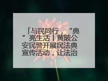 与民同行，“典”亮生活丨黄陂公安民警开展民法典宣传活动，让法治精神在群众心中落地生根