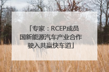 专家：RCEP成员国新能源汽车产业合作驶入共赢快车道