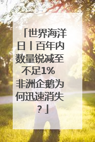 世界海洋日丨百年内数量锐减至不足1% 非洲企鹅为何迅速消失？