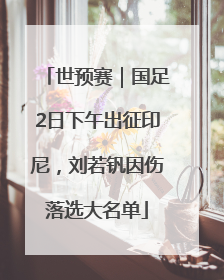 世预赛｜国足2日下午出征印尼，刘若钒因伤落选大名单