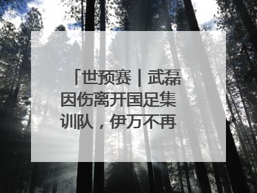 世预赛｜武磊因伤离开国足集训队，伊万不再补招顶替球员