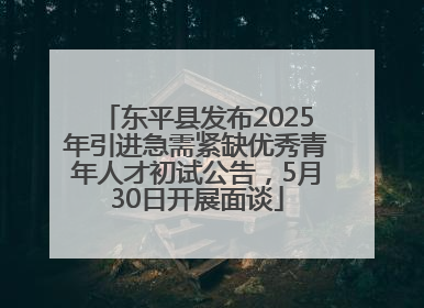 东平县发布2025年引进急需紧缺优秀青年人才初试公告，5月30日开展面谈