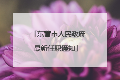 东营市人民政府最新任职通知