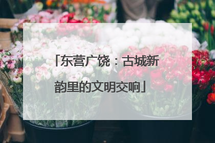 东营广饶：古城新韵里的文明交响