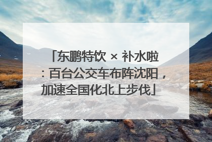 东鹏特饮 × 补水啦：百台公交车布阵沈阳，加速全国化北上步伐