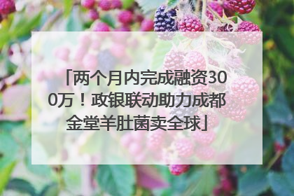 两个月内完成融资300万！政银联动助力成都金堂羊肚菌卖全球
