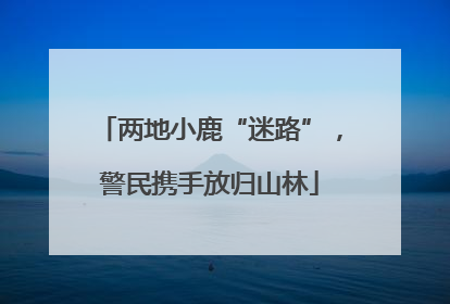 两地小鹿“迷路”，警民携手放归山林