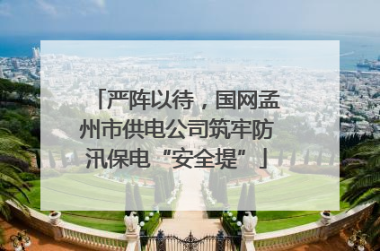 严阵以待，国网孟州市供电公司筑牢防汛保电“安全堤”