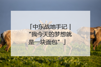 中东战地手记｜“我今天的梦想就是一块面包”