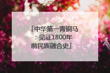 中华第一青铜马：见证1800年前民族融合史
