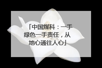 中国煤科：一手绿色一手责任，从地心通往人心