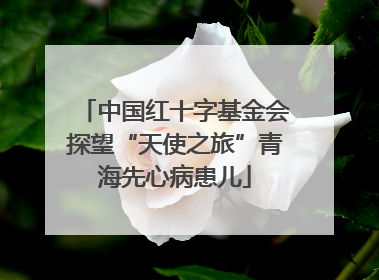 中国红十字基金会探望“天使之旅”青海先心病患儿