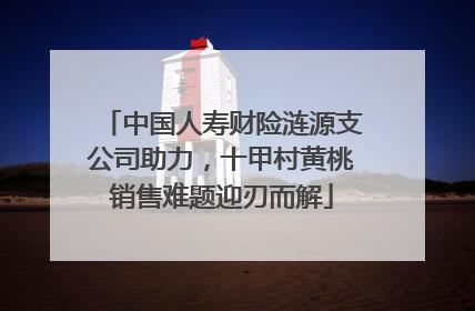 中国人寿财险涟源支公司助力，十甲村黄桃销售难题迎刃而解