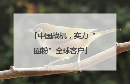 中国战机，实力“圈粉”全球客户