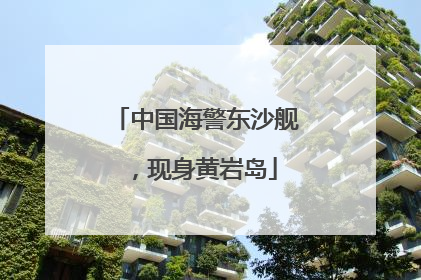 中国海警东沙舰，现身黄岩岛