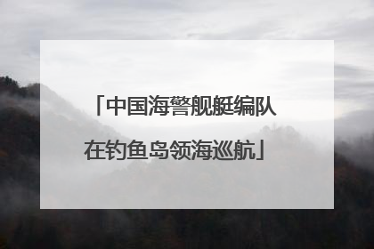 中国海警舰艇编队在钓鱼岛领海巡航