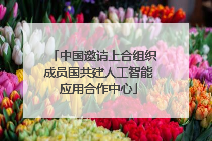 中国邀请上合组织成员国共建人工智能应用合作中心