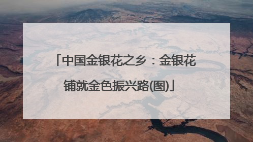 中国金银花之乡：金银花铺就金色振兴路(图)