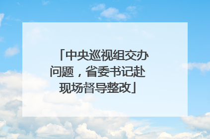 中央巡视组交办问题，省委书记赴现场督导整改