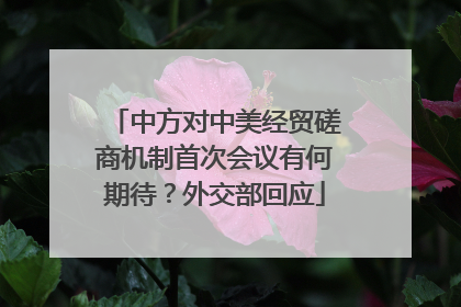 中方对中美经贸磋商机制首次会议有何期待？外交部回应