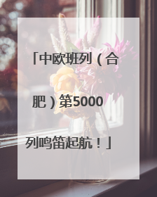 中欧班列（合肥）第5000列鸣笛起航！