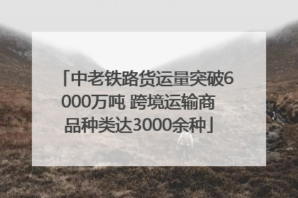中老铁路货运量突破6000万吨 跨境运输商品种类达3000余种