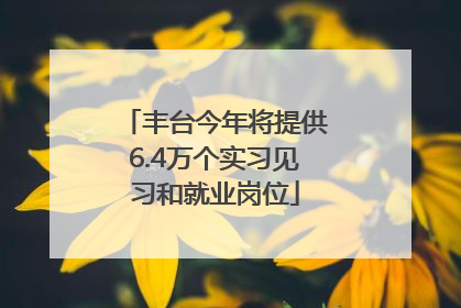 丰台今年将提供6.4万个实习见习和就业岗位