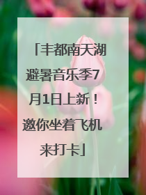 丰都南天湖避暑音乐季7月1日上新！邀你坐着飞机来打卡