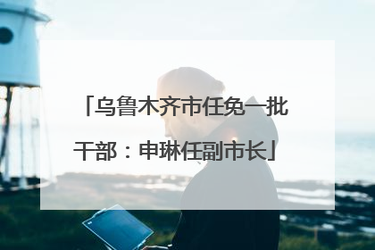 乌鲁木齐市任免一批干部：申琳任副市长