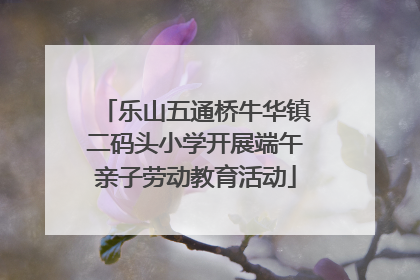 乐山五通桥牛华镇二码头小学开展端午亲子劳动教育活动