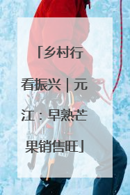 乡村行 看振兴｜元江：早熟芒果销售旺