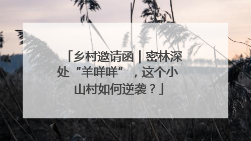 乡村邀请函｜密林深处“羊咩咩”，这个小山村如何逆袭？
