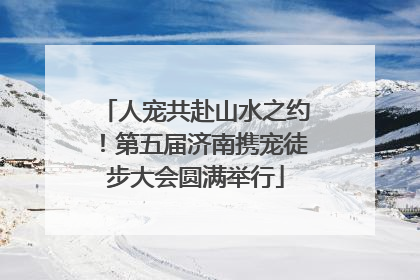 人宠共赴山水之约！第五届济南携宠徒步大会圆满举行