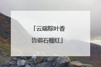 云端粽叶香 鲁疆石榴红