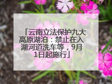 云南立法保护九大高原湖泊：禁止在入湖河道洗车等，9月1日起施行
