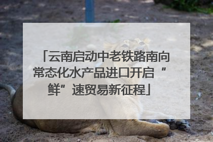 云南启动中老铁路南向常态化水产品进口开启“鲜”速贸易新征程