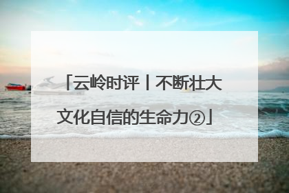 云岭时评丨不断壮大文化自信的生命力②