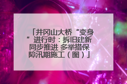 井冈山大桥“变身”进行时：拆旧建新同步推进 多举措保障汛期施工（图）