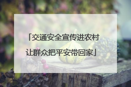 交通安全宣传进农村 让群众把平安带回家