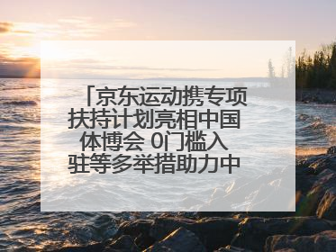 京东运动携专项扶持计划亮相中国体博会 0门槛入驻等多举措助力中小品牌成长