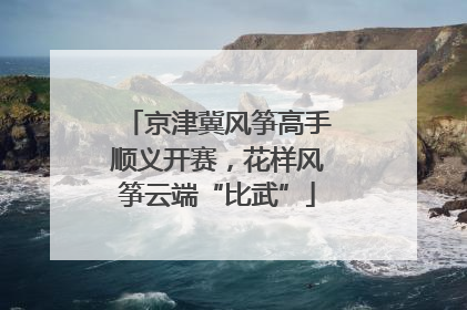 京津冀风筝高手顺义开赛，花样风筝云端“比武”