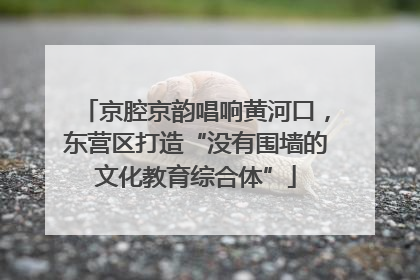 京腔京韵唱响黄河口，东营区打造“没有围墙的文化教育综合体”