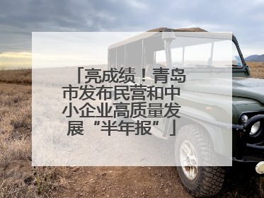 亮成绩！青岛市发布民营和中小企业高质量发展“半年报”