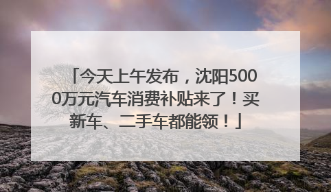今天上午发布，沈阳5000万元汽车消费补贴来了！买新车、二手车都能领！