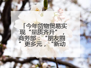 今年货物贸易实现“量质齐升”，商务部：“朋友圈”更多元，“新动能”加快集聚